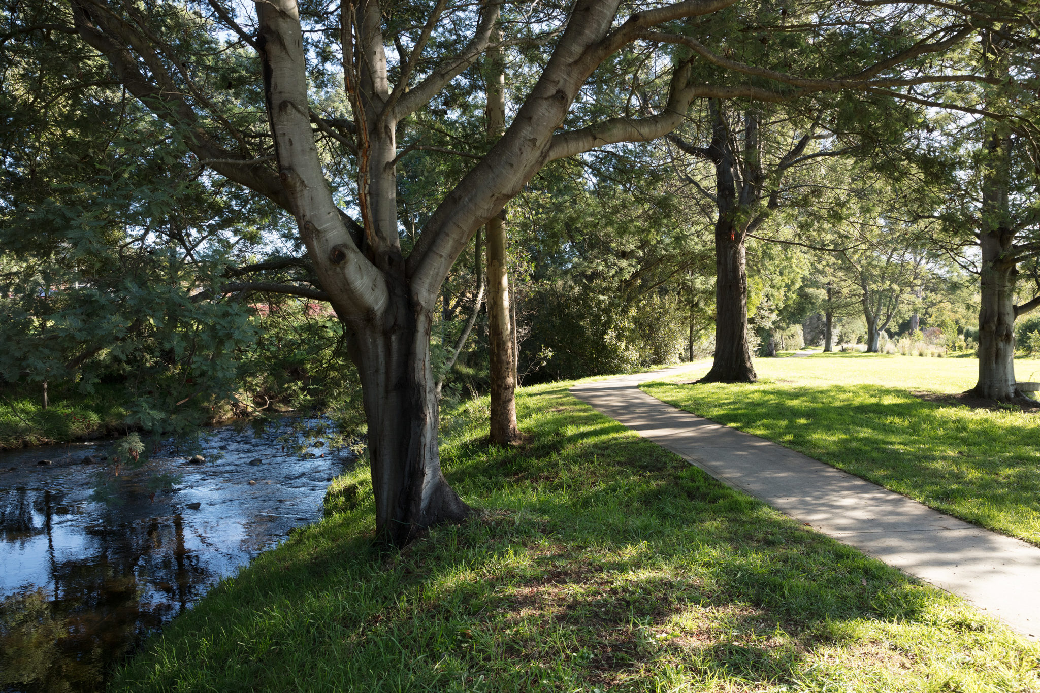 family-friendly-walks-in-the-huon-valley-the-huon-valley-southern