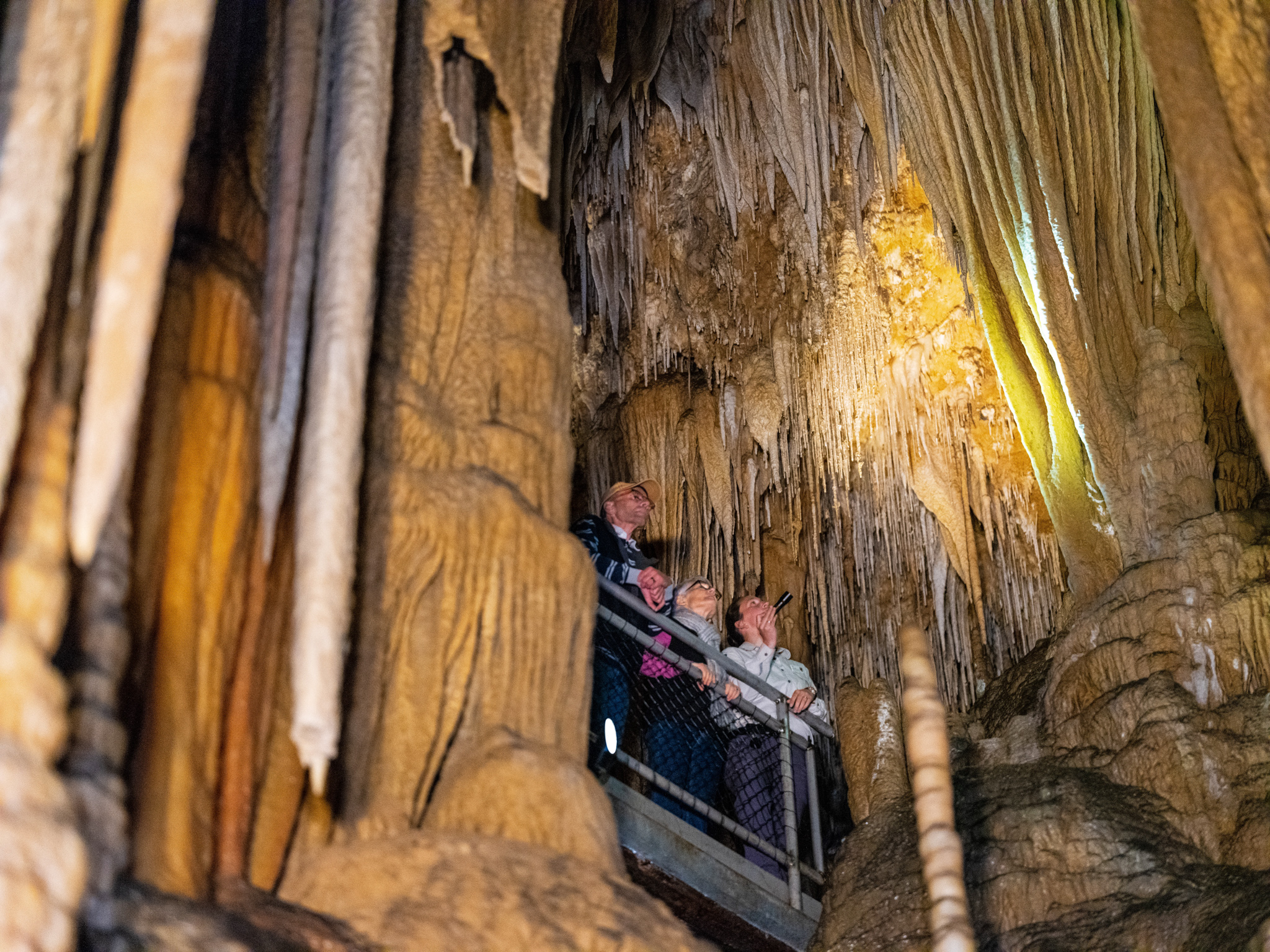 Hastings Caves and Thermal Springs Pool - The Huon Valley Southern Tasmania