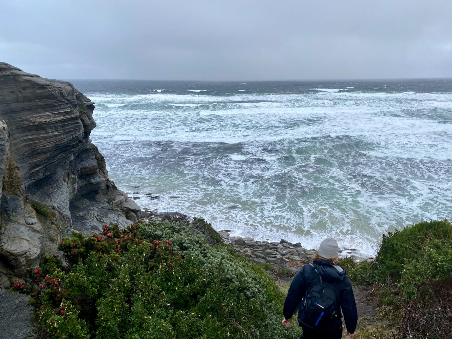 The Edge of Tassie's Wilds - South Cape Bay Trek - The Huon Valley ...