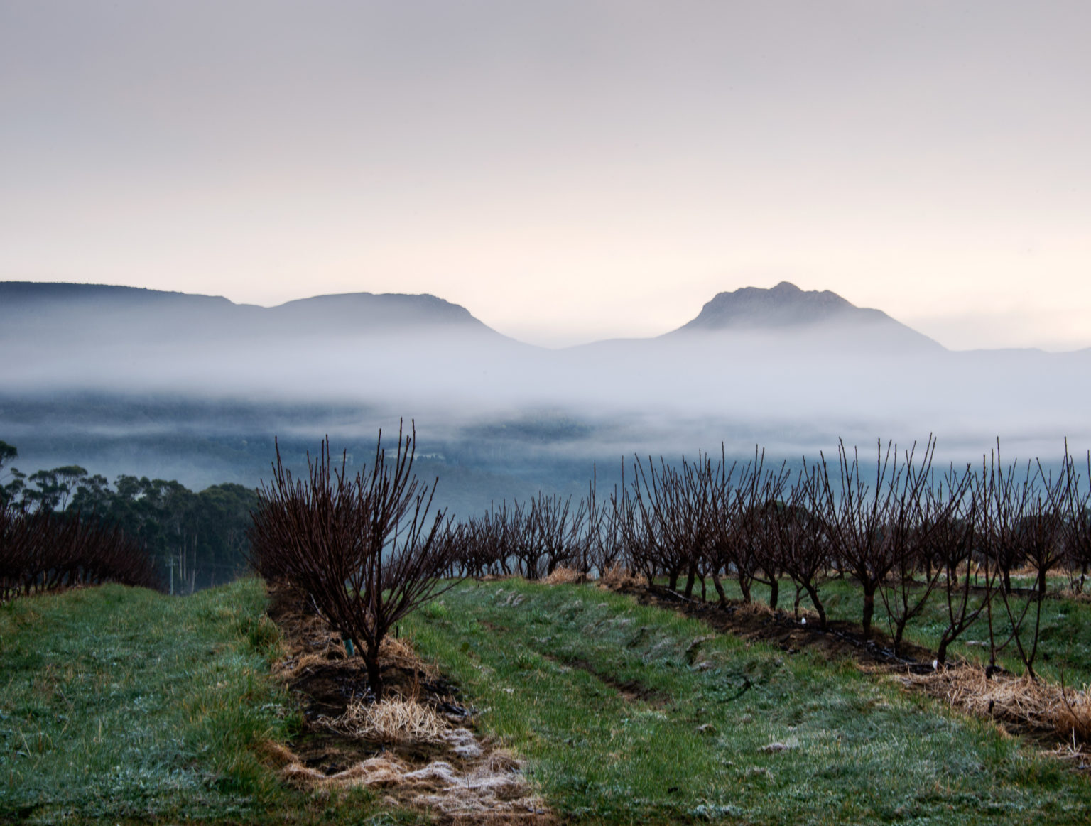 Things To Do In Southern Tasmania - The Huon Valley