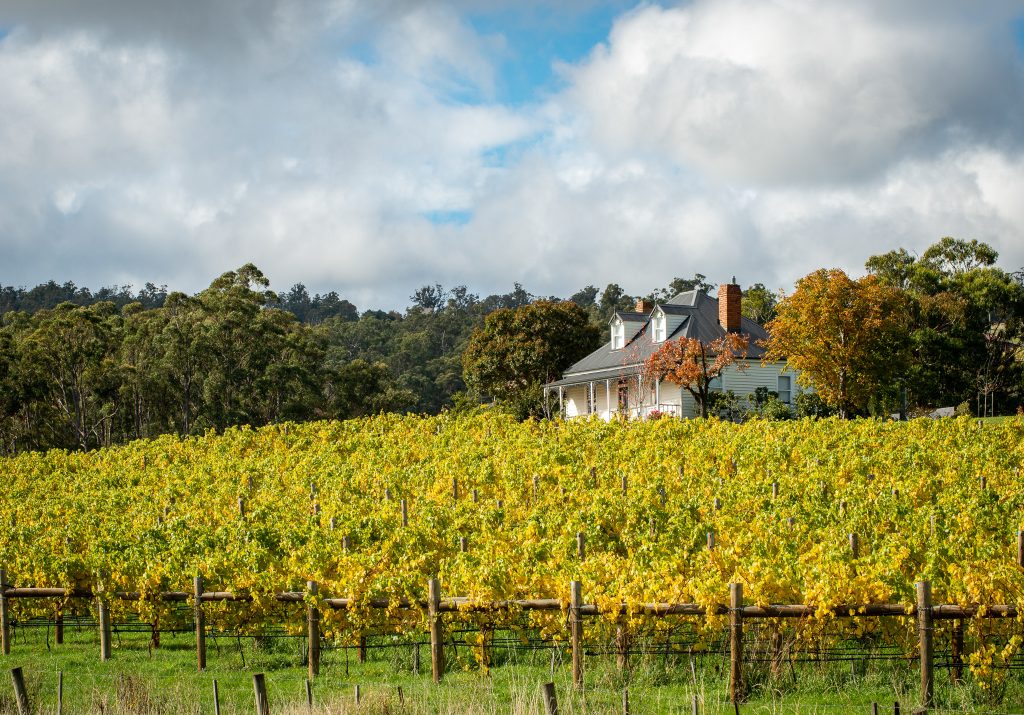 Kate Hill Wines The Huon Valley Southern Tasmania