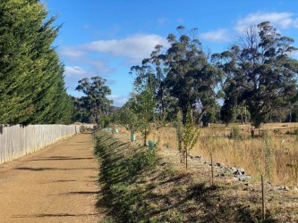 thumbnail_path and trees