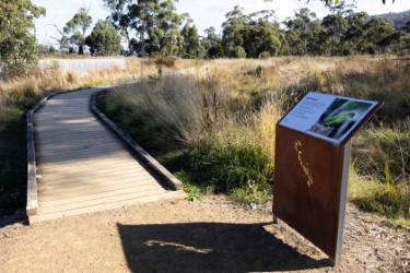 thumbnail_swift parrot sign 2