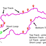 Grove of Giants trail map