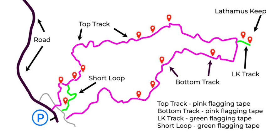 Grove of Giants trail map