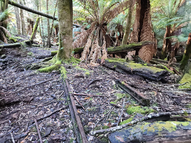 Riawunna rail remains