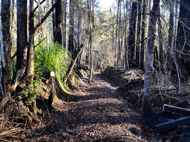 Riawunna rail trail 2