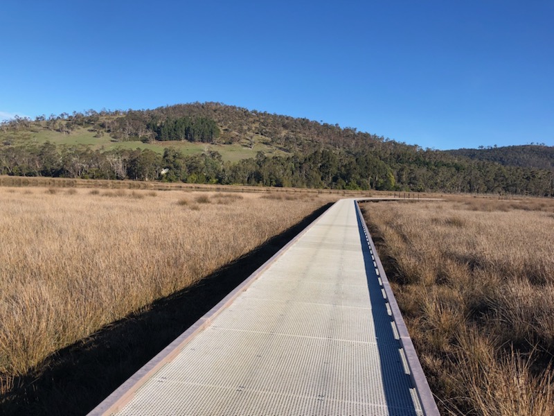 boardwalk